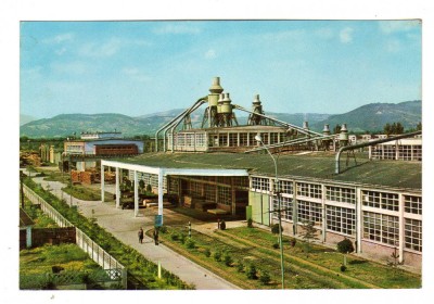 COMBINATUL DE INDUSTRIALIZARE A LEMNULUI RAMNICU VALCEA EROARE VERSO foto