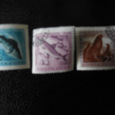 Serie timbre fauna marina animale stampilate URSS timbre filatelice postale
