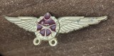 QW9 N8 81 - insigna - tematica militara - arme incrucisate pe aripi