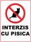 Foto  - 1