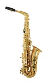 Cumpara ieftin Saxofon Alto PARROT 6430L Auriu