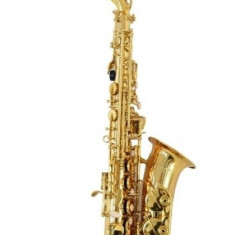 Saxofon Alto PARROT Auriu