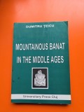 Mountainous Banat in the Middle Ages - Dumitru Teicu