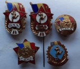 LOT 5 INSIGNE GMA : 2x NIVEL II , TIP MIC, FGMA, RECONFIRMARE, RPR, IM1,274