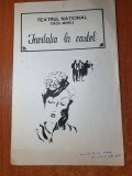 program teatrul national targu mures 1982- invitatia la castel