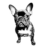 Sticker decorativ Caine Bulldog, Negru, 90 cm, 7821ST