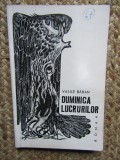 Duminica lucrurilor - Vasile Baran