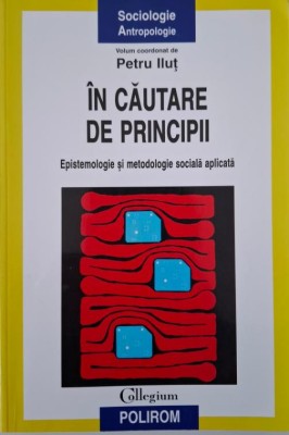 In cautare de principii. Epistemologie si metodologie sociala aplicata &amp;ndash; Petru Iliut (coordonator) foto