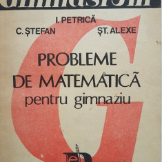 PROBLEME DE MATEMATICA PENTRU GIMNAZIU - I. Petrica, C. Stefan, St. Alexe