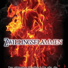 Zwillingsflammen: Das ultimative Handbuch f