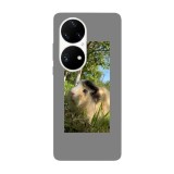 Husa compatibila cu Huawei P50 Pro model Hi I am Cookie, Silicon, TPU, Viceversa, Transparent, Carcasa
