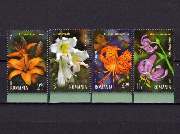 ✅RO 2023 LP 2415 &quot; Crini &quot; , flori , serie , MNH
