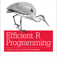 Efficient R Programming: A Practical Guide to Smarter Programming