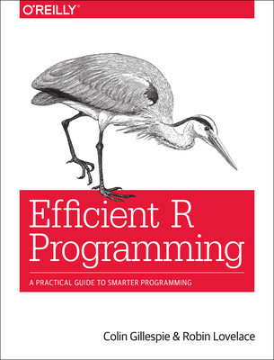 Efficient R Programming: A Practical Guide to Smarter Programming foto