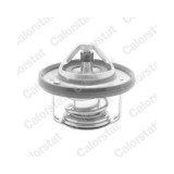 Calorstat by Vernet termostat, lichid racire