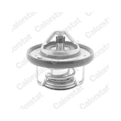 Calorstat by Vernet termostat, lichid racire