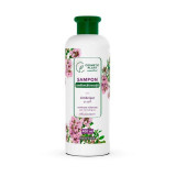 Cosmetic Plant Sampon antimatreata cu cimbrisor si sulf, 400ml