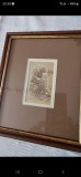 Fotografie tip carte-de-visite , an cca 1874 infatisandu l pe Vasile Alecsandri