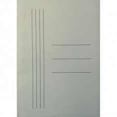 Dosar A4 cu Sina din Carton, 30 Buc/Set, Verde Deschis, Dosar cu Sina, Plic pentru Documente, Dosar pentru Organizat