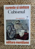 CUBISMUL -DAN GRIGORESCU