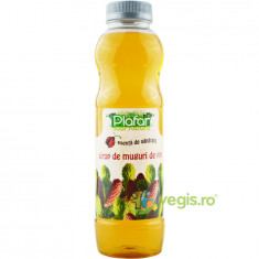 Sirop de Muguri de Pin 500ml