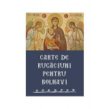 Carte de rugăciuni pentru bolnavi - Paperback brosat - *** - Sophia