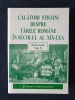Calatori straini despre Tarile Romane in sec al XIX (Serie noua) vol. 10