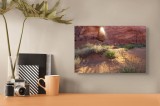 Tablou Canvas, "Lumina dimineții &icirc;n deșert roșu", Arc, Lumină, Umbre, Dune, Vegetație, Roci, Nisip, Natură, Pustiu, Culoare., 39 x 26 cm, CMCLASS