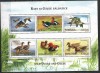 B1446 - Romania 2007 - Pasari,blocx6,neuzat,perfecta stare, Nestampilat