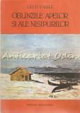Onglinzile Apelor Si Ale Nisipurilor - Gh. D. Vasile, Editura Ion Creanga, 1985, Roman, 83 pagini