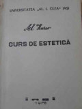 CURS DE ESTETICA-AL. HUSAR