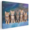Tablou patru pisicute portocalii si una gri Tablou canvas pe panza CU RAMA 80x120 cm