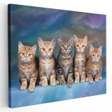 Tablou patru pisicute portocalii si una gri Tablou canvas pe panza CU RAMA 80x120 cm