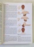 MANUALUL TINTINALLI PENTRU MEDICINA DE URGENTA , GHID PENTRU STUDIU COMPREHENSIV , VOLUMUL II , EDITIA A VIII - A de JUDITH E. TINTINALLI , 2019