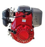 Cumpara ieftin Motor compatibil cu mai compactor Honda GX100