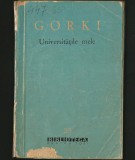 Cumpara ieftin UNIVERSITĂȚILE MELE - MAXIM GORKI - BPT