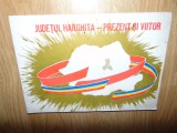 JUDETUL HARGHITA -PREZENT SI VIITOR ANUL 1980