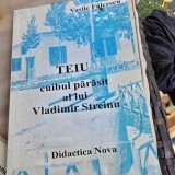 Teiu, cuibul parasit al lui Vladimir Streinu - Vasile Falcescu
