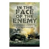 In the Face of the Enemy