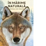 In marime naturala. Animale din padure - Roxana Pogonici, Holger Haag