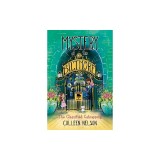 Mystery at the Biltmore #2: The Classified Catnapping