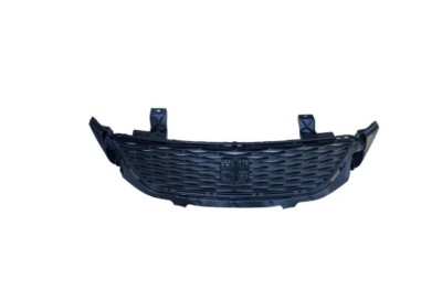 Grila radiator Seat Toledo (Nh), 10.2012-, montare fata, RapidAuto foto