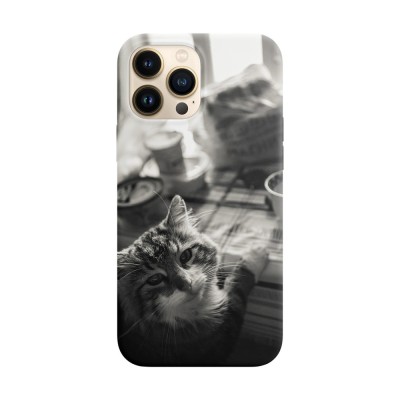 Husa compatibila cu Apple iPhone 14 Plus model Dinner time, Silicon, TPU, Viceversa foto