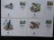 Foto  - 1