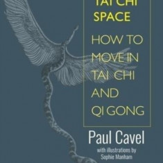 The Tai Chi Space: How to Move in Tai Chi and Qi Gong