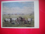 HOPCT 23687 MULGATOAREA 1936 -A K KASTEEV -- PICTORI DIN KAZAKSTAN - RUSIA --MUZEE - CP PICTURA --NECIRCULATAMUNTII