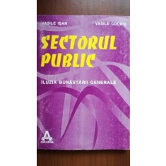 Sectorul public. Iluzia bunastarii generale