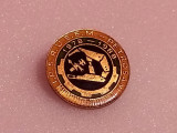 Insigna minerit - I.P.S.R.U.E.E.M. PETROSANI (1978-1988)
