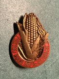 Insigna fruntas pentru 5000 kg hectar neirigat