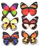 Sticker decorativ perete, camera copii, diverse modele, D387 37 x 25 cm